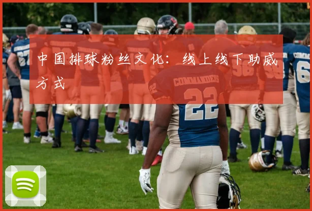 中国排球粉丝文化：线上线下助威方式
