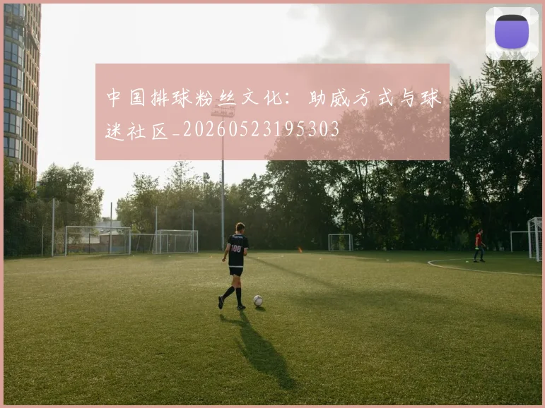 中国排球粉丝文化：助威方式与球迷社区_20260523195303