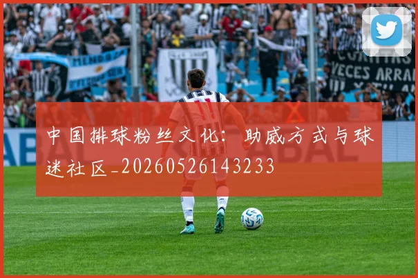 中国排球粉丝文化：助威方式与球迷社区_20260526143233