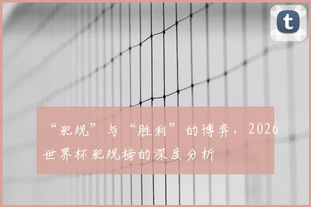 “犯规”与“胜利”的博弈，2026世界杯犯规榜的深度分析
