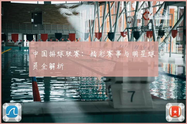 中国排球联赛：精彩赛事与明星球员全解析