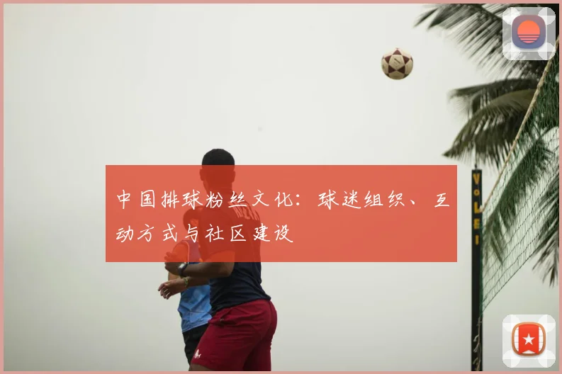 中国排球粉丝文化:球迷组织、互动方式与社区建设