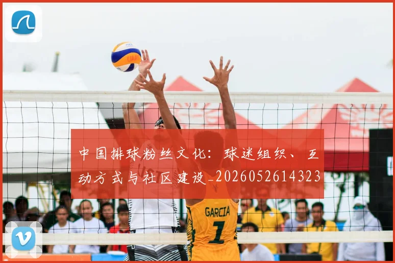 中国排球粉丝文化:球迷组织、互动方式与社区建设_20260526143235