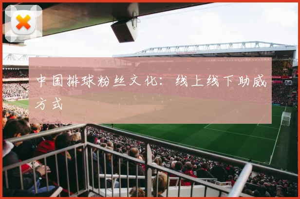 中国排球粉丝文化:线上线下助威方式